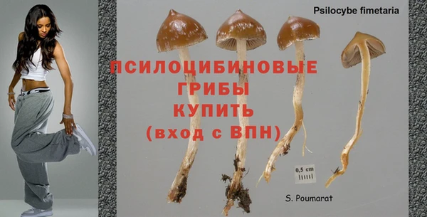 дмт Алзамай
