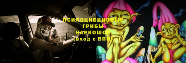 трава Армянск