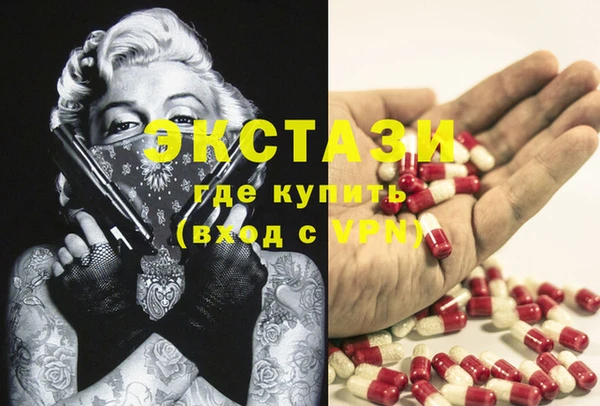 шишки Аркадак