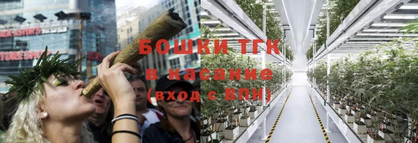 прущие грибы Арсеньев